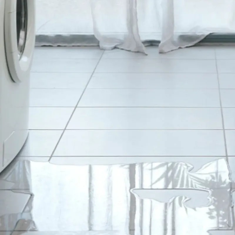 Appliance Leak Cleanup in Berea, SC