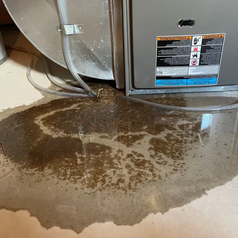 Pipe Burst and Leak Restoration in Berea, SC